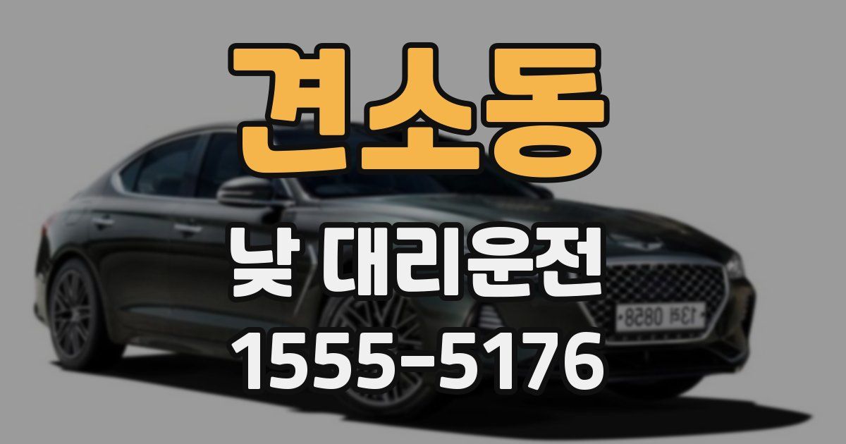 견소동 낮 대리운전