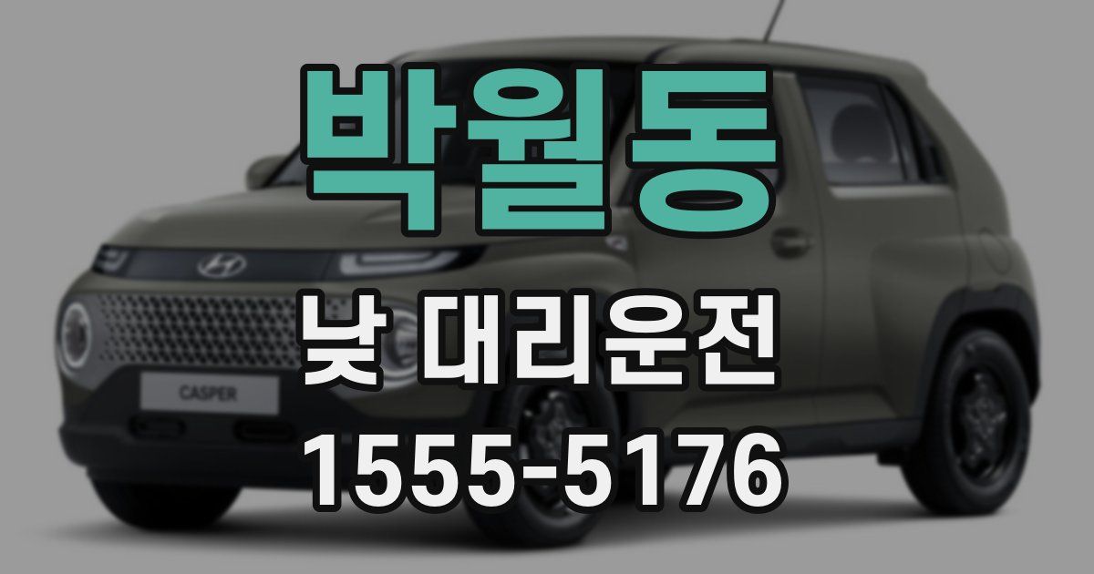 박월동 낮 대리운전