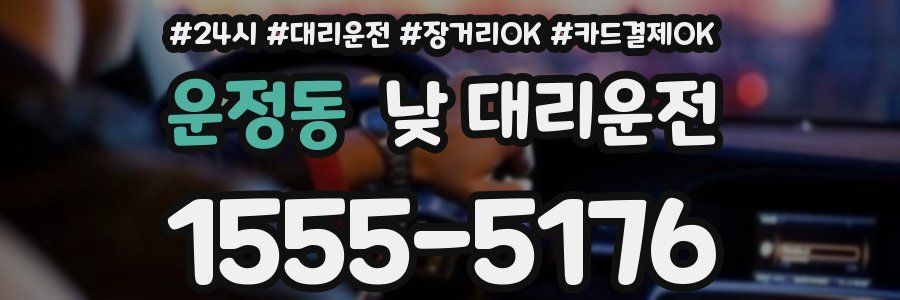 운정동 낮 대리운전