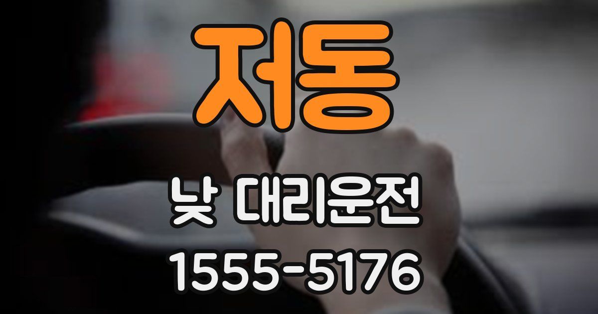 저동 낮 대리운전