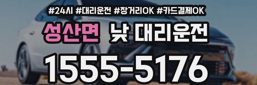 성산면 낮 대리운전