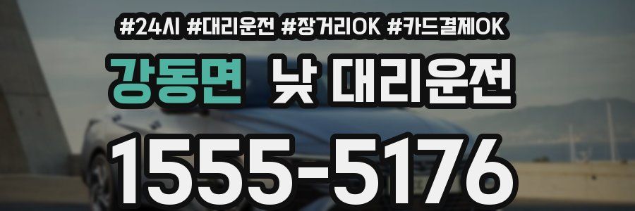 강동면 낮 대리운전