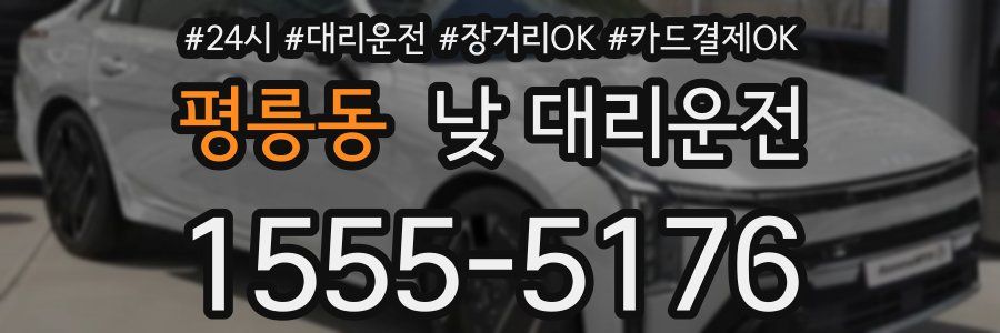 평릉동 낮 대리운전