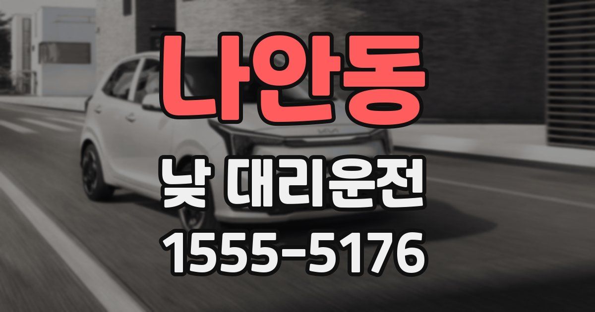 나안동 낮 대리운전