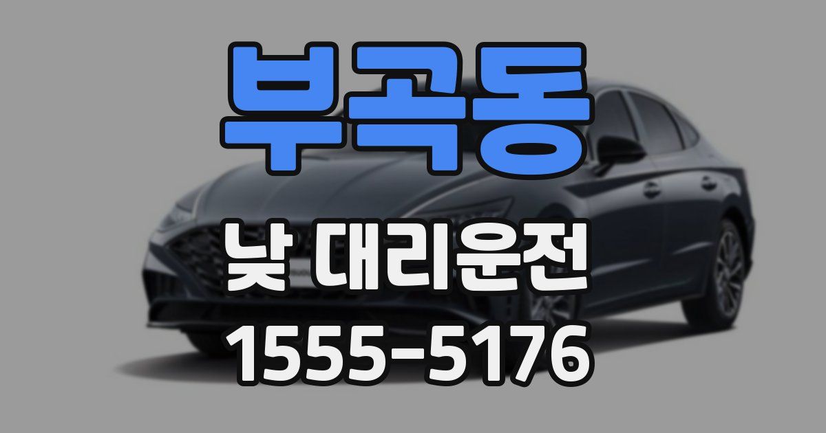 부곡동 낮 대리운전