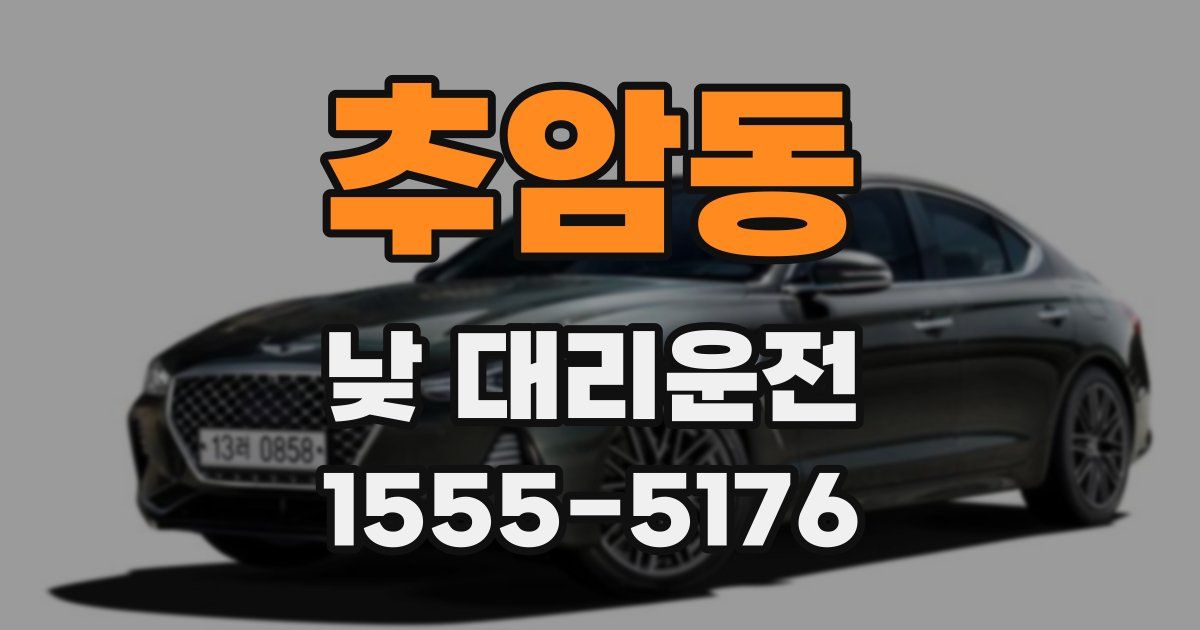 추암동 낮 대리운전