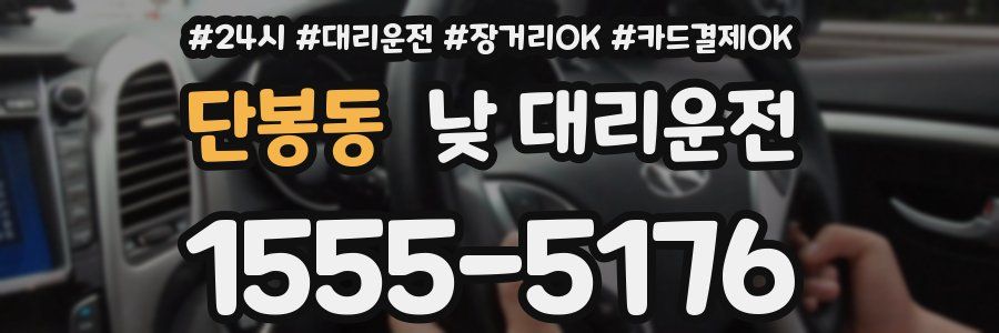 단봉동 낮 대리운전