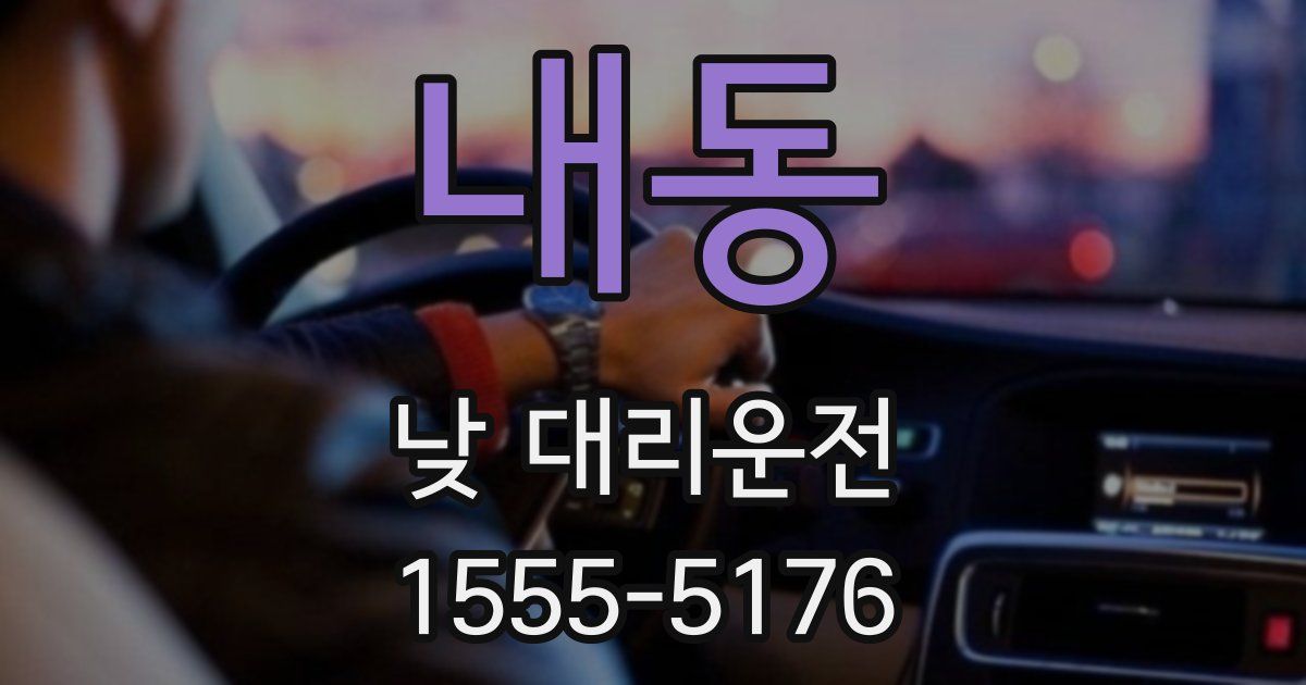 내동 낮 대리운전