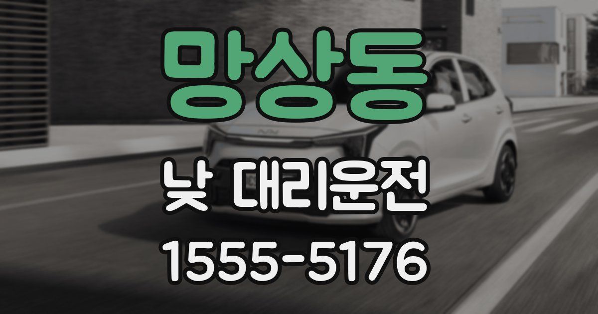 망상동 낮 대리운전