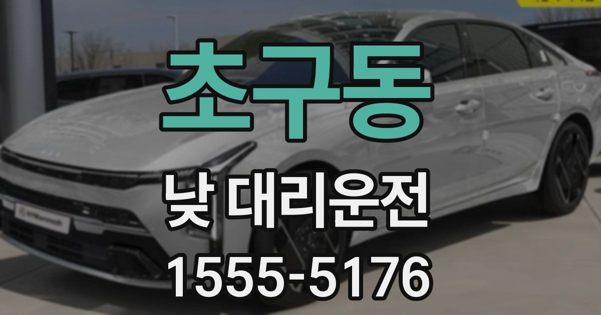 초구동 낮 대리운전