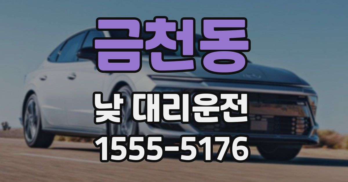 금천동 낮 대리운전