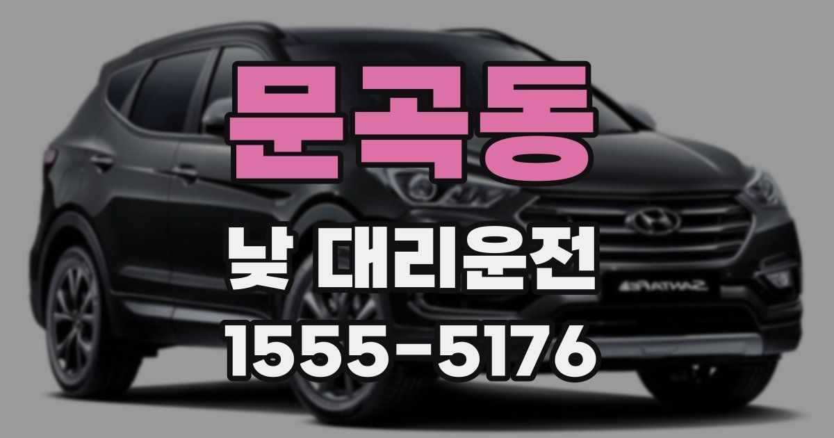 문곡동 낮 대리운전
