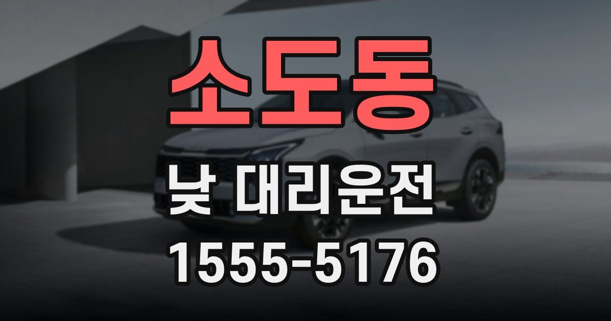 소도동 낮 대리운전