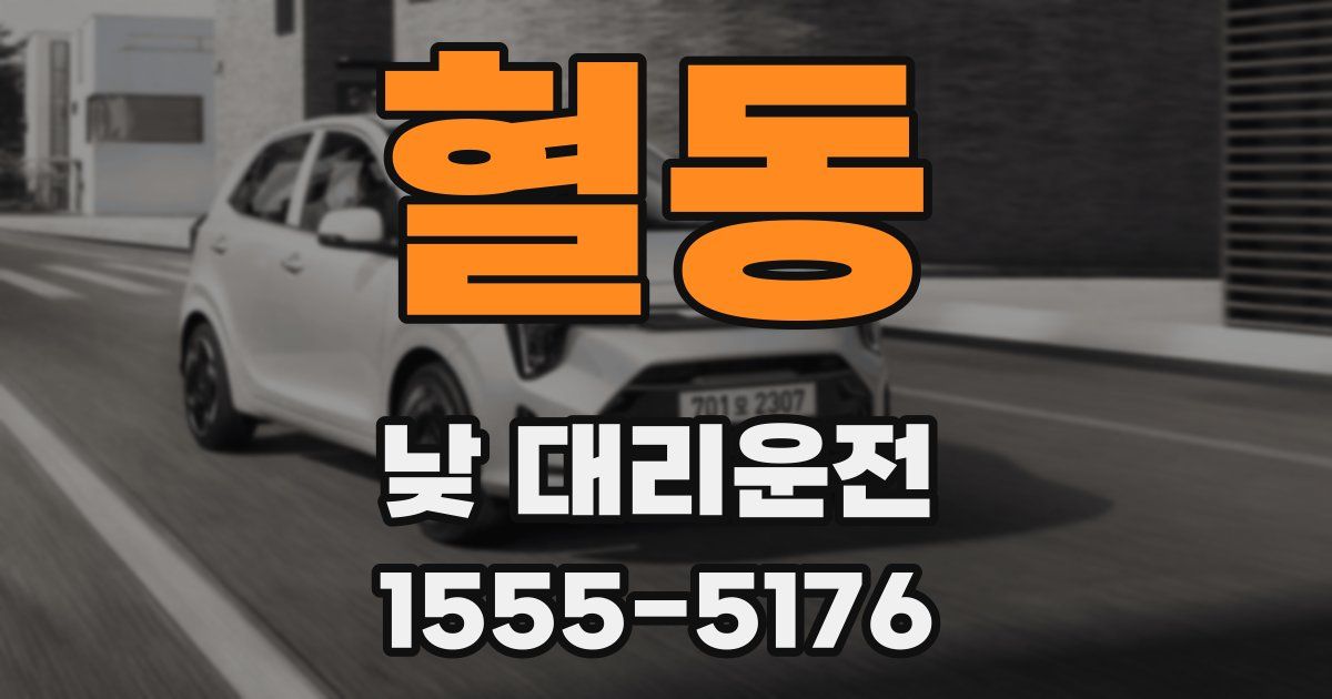 혈동 낮 대리운전
