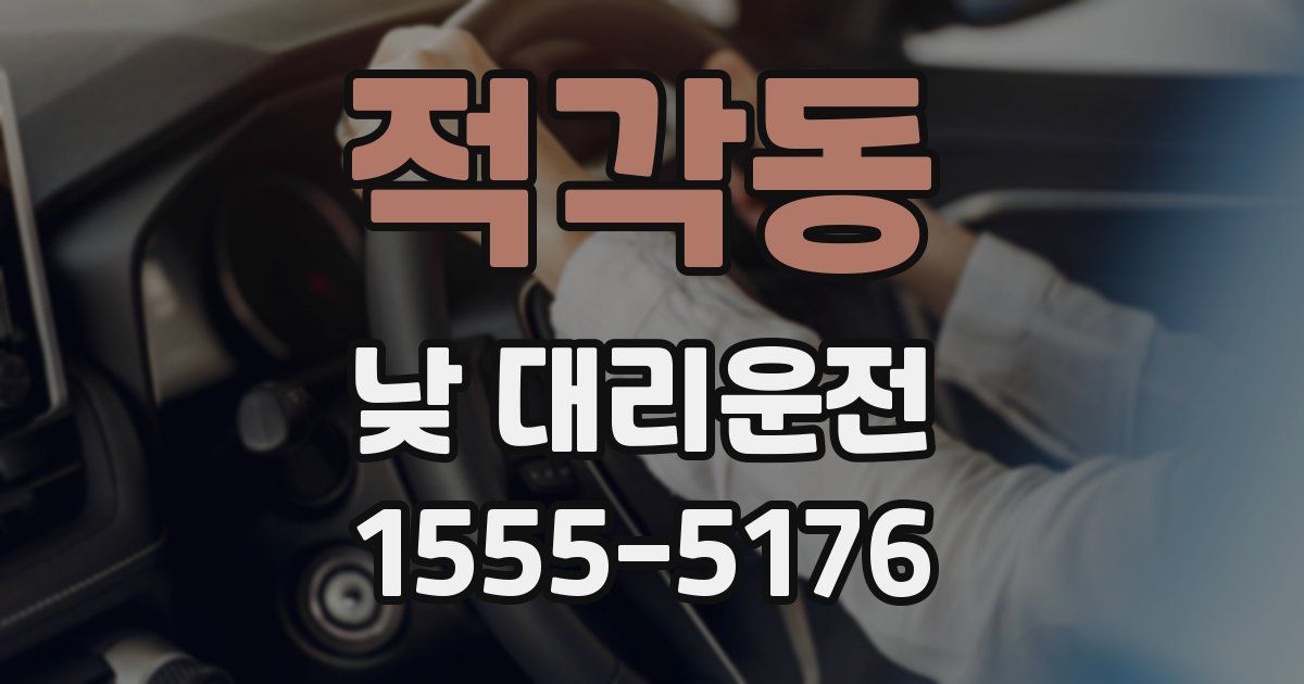 적각동 낮 대리운전