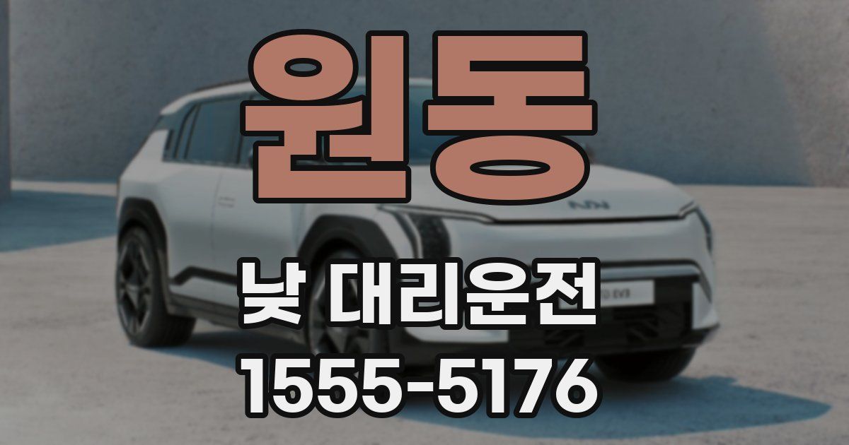 원동 낮 대리운전