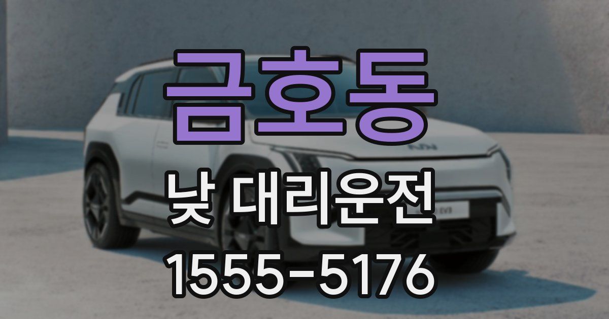 금호동 낮 대리운전