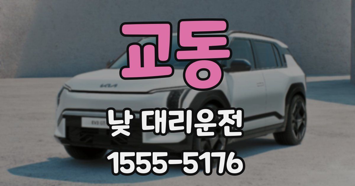 교동 낮 대리운전