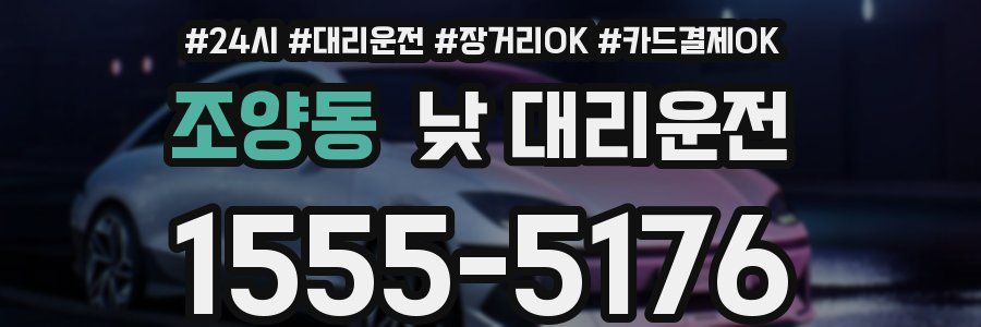 조양동 낮 대리운전