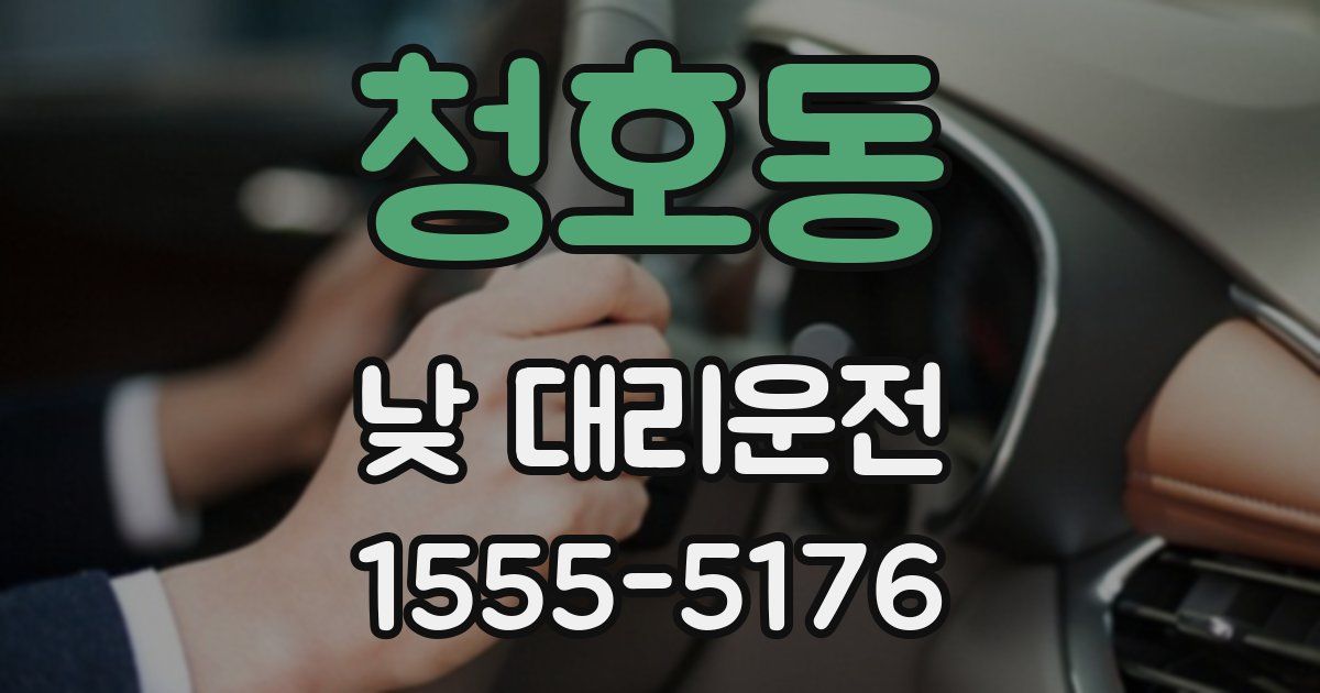 청호동 낮 대리운전