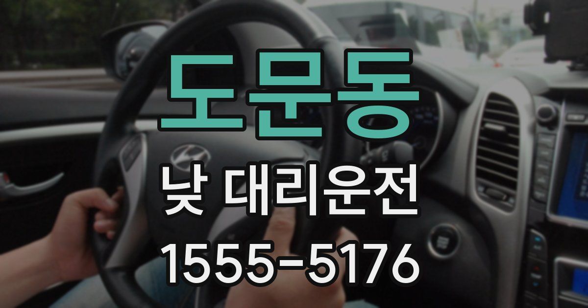 도문동 낮 대리운전