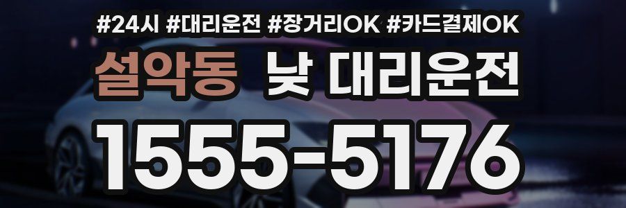설악동 낮 대리운전