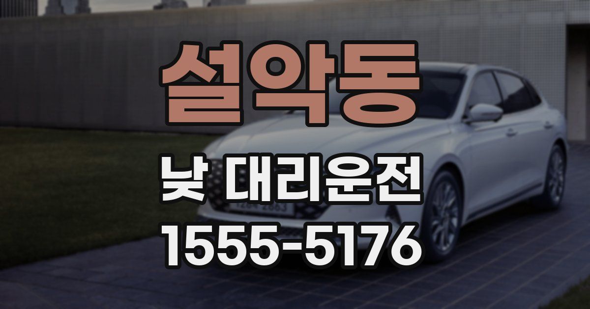 설악동 낮 대리운전