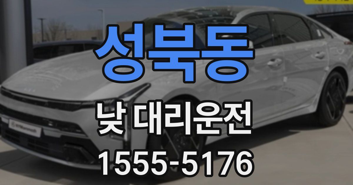 성북동 낮 대리운전