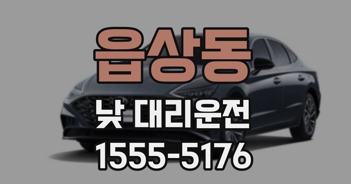 읍상동 낮 대리운전