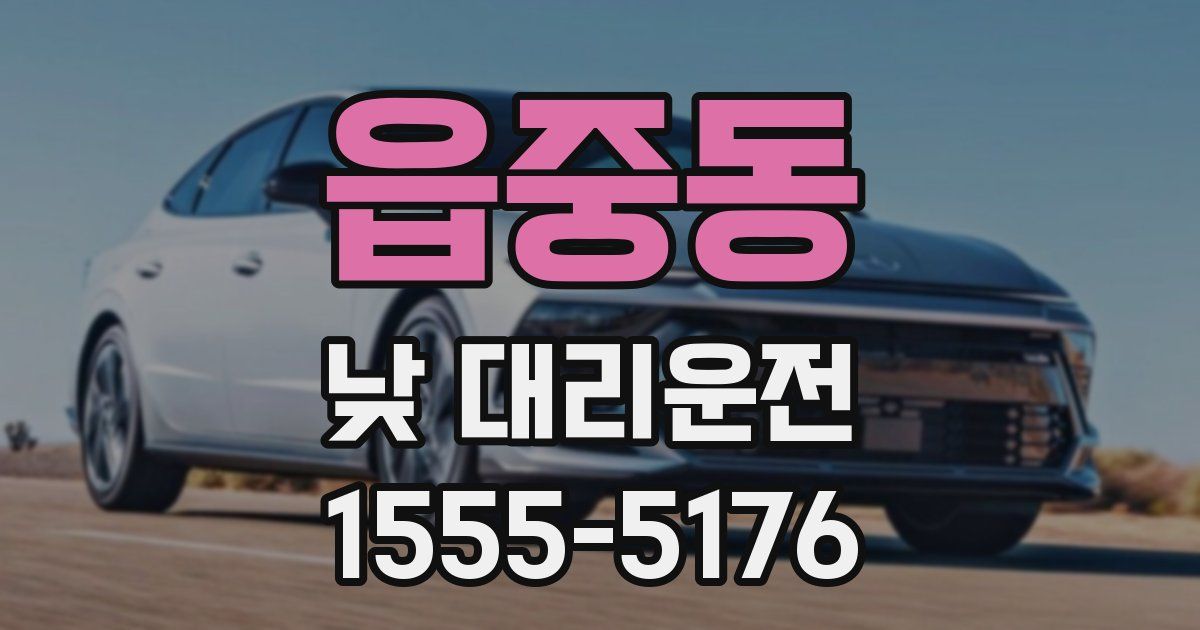 읍중동 낮 대리운전