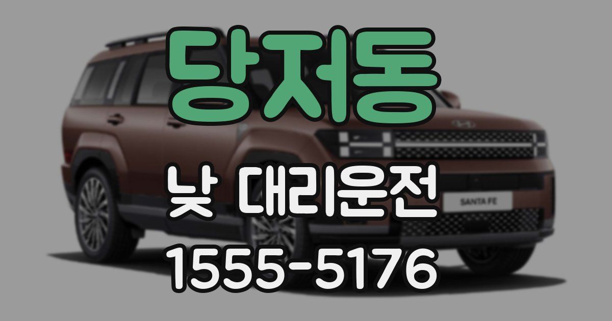 당저동 낮 대리운전