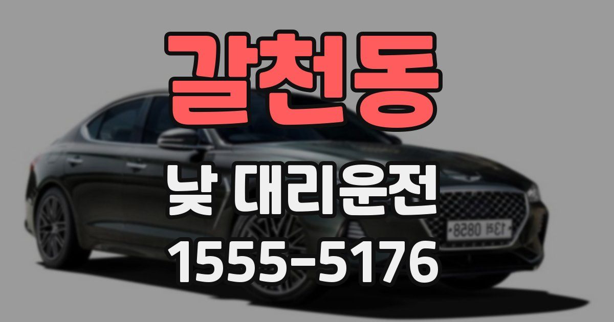 갈천동 낮 대리운전