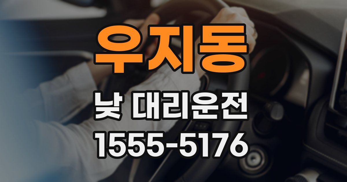 우지동 낮 대리운전