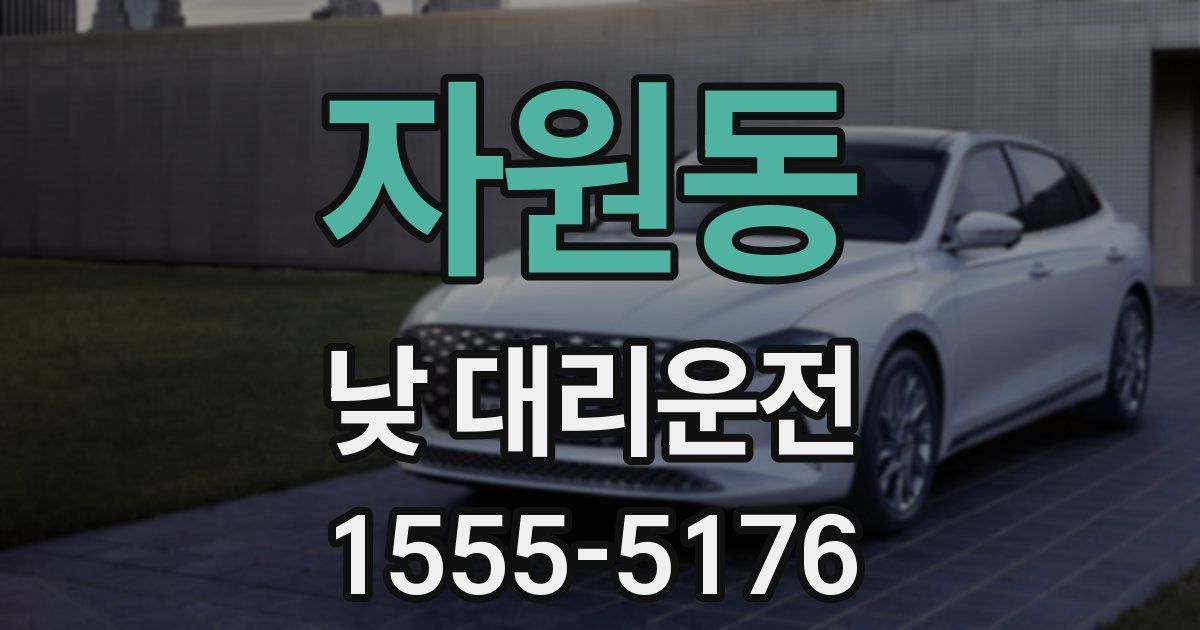 자원동 낮 대리운전