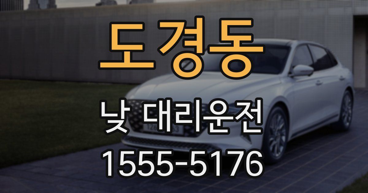 도경동 낮 대리운전