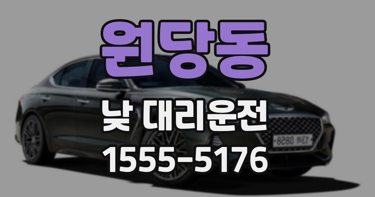 원당동 낮 대리운전
