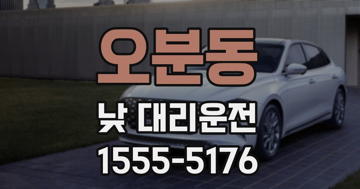 오분동 낮 대리운전