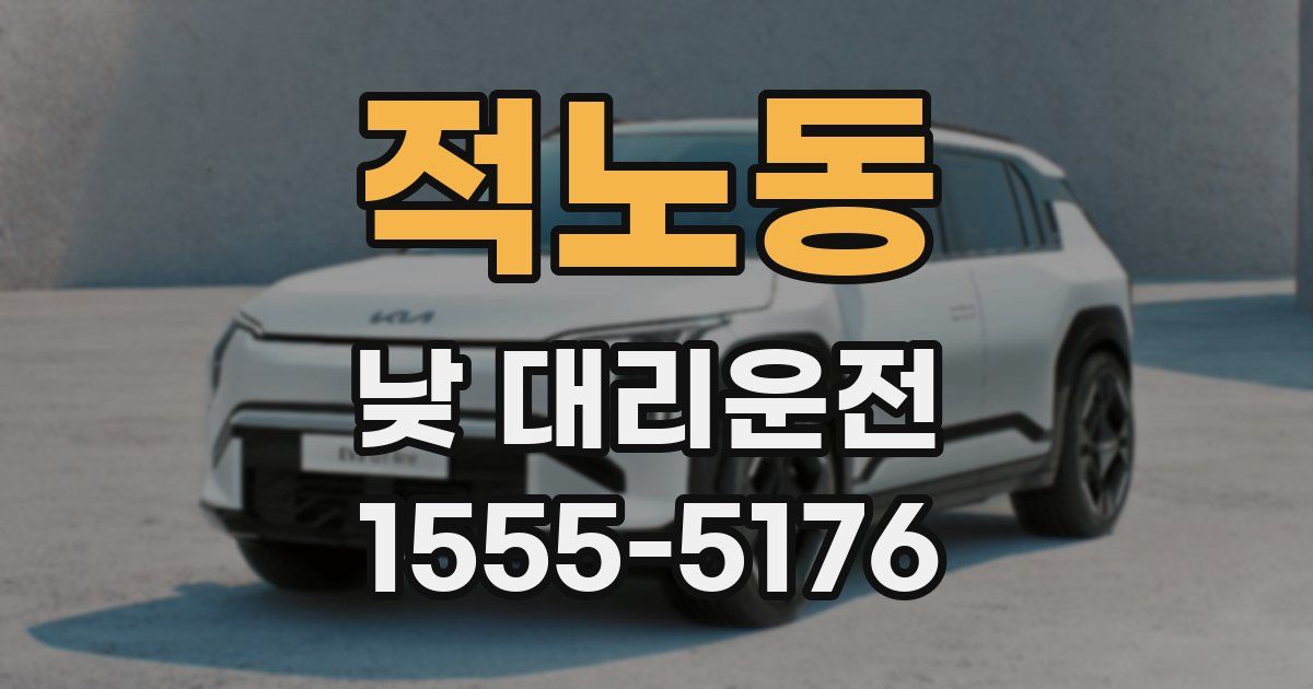 적노동 낮 대리운전