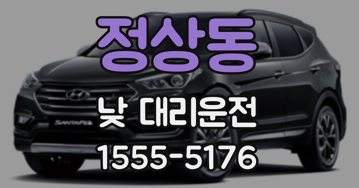 정상동 낮 대리운전