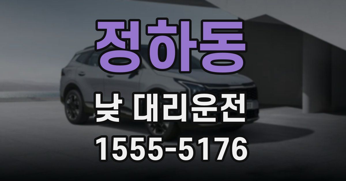 정하동 낮 대리운전