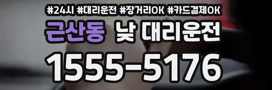 근산동 낮 대리운전