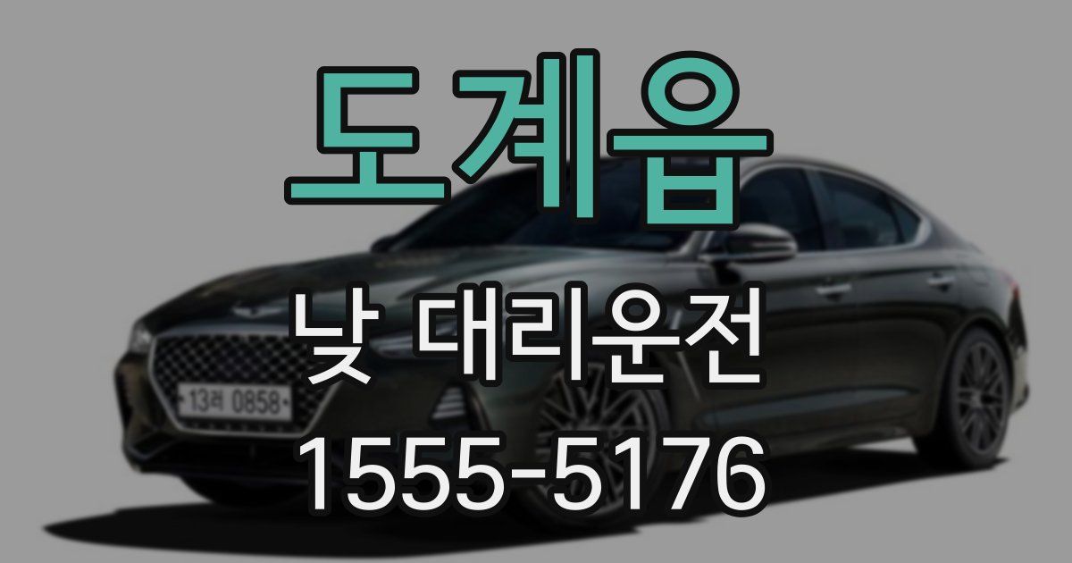 도계읍 낮 대리운전
