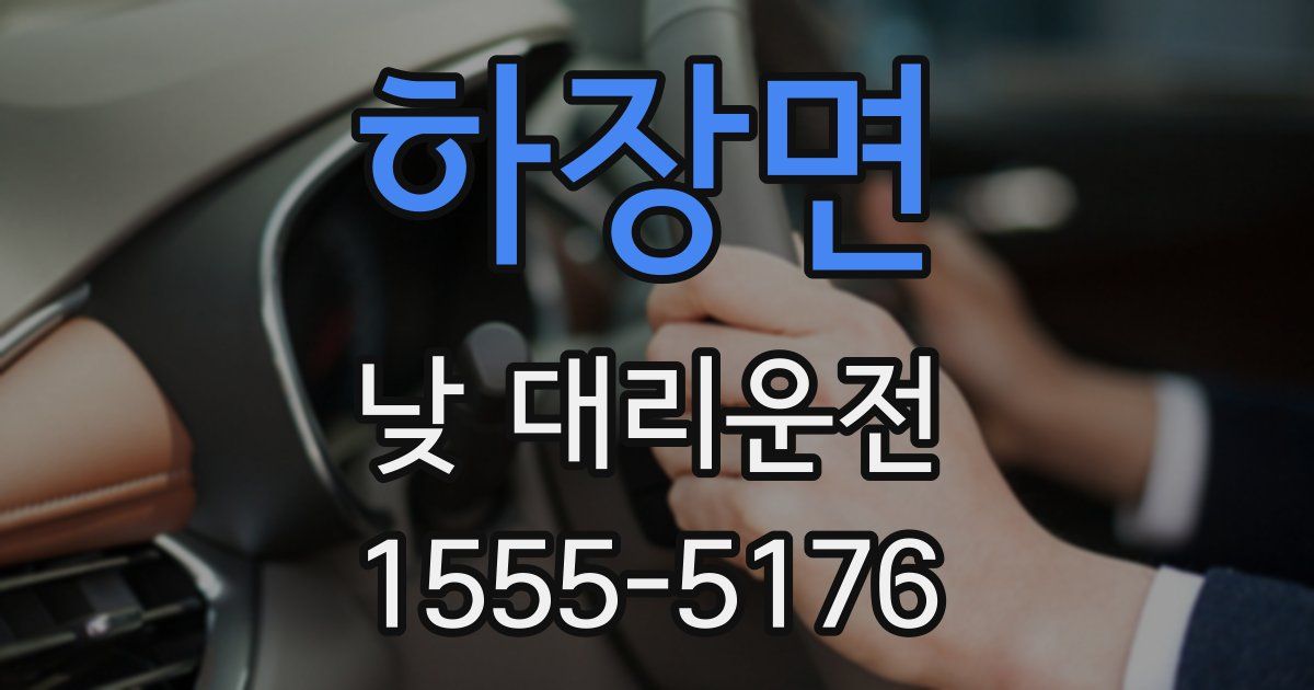 하장면 낮 대리운전