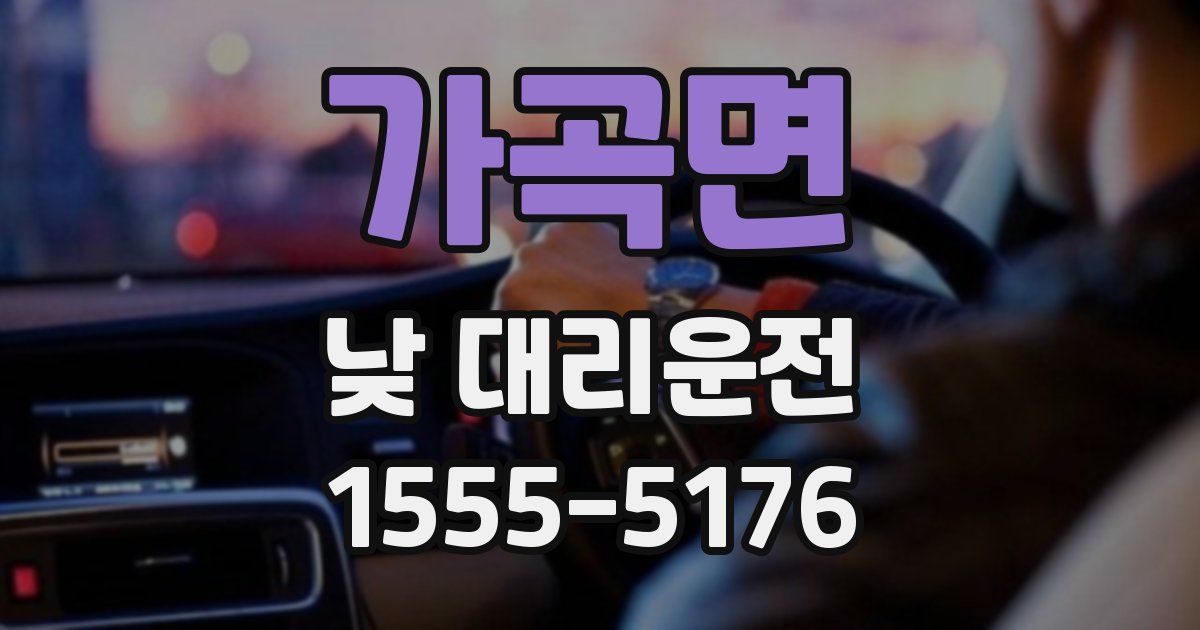 가곡면 낮 대리운전