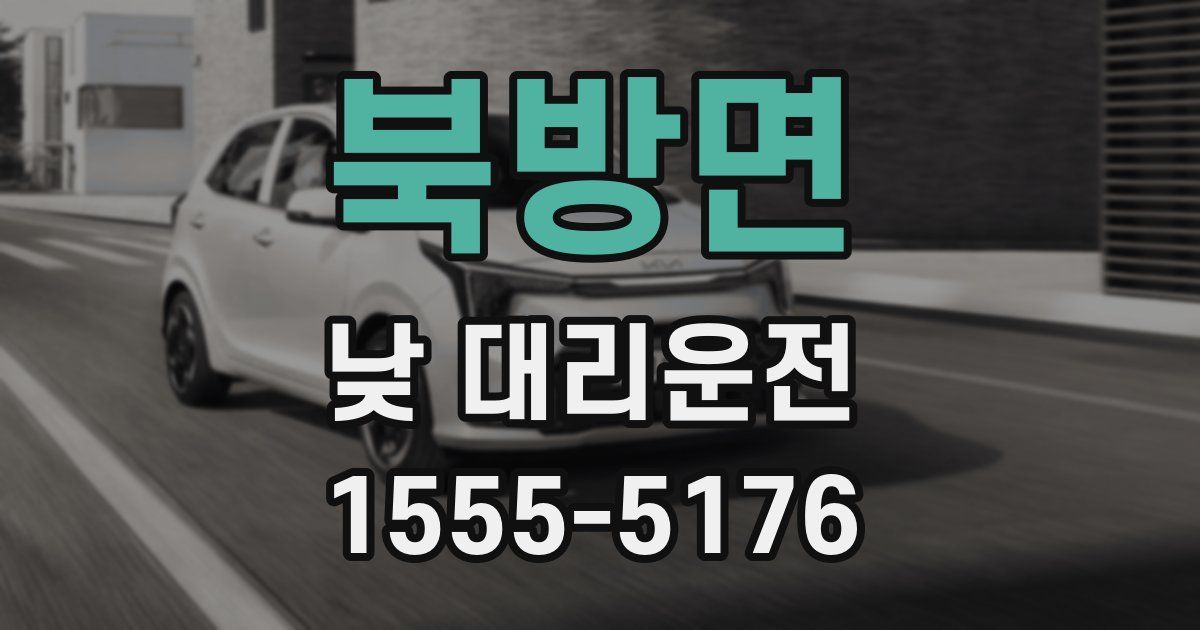 북방면 낮 대리운전