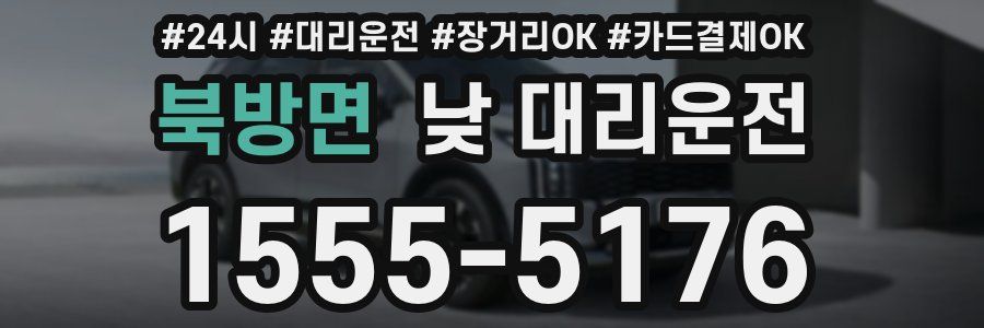 북방면 낮 대리운전