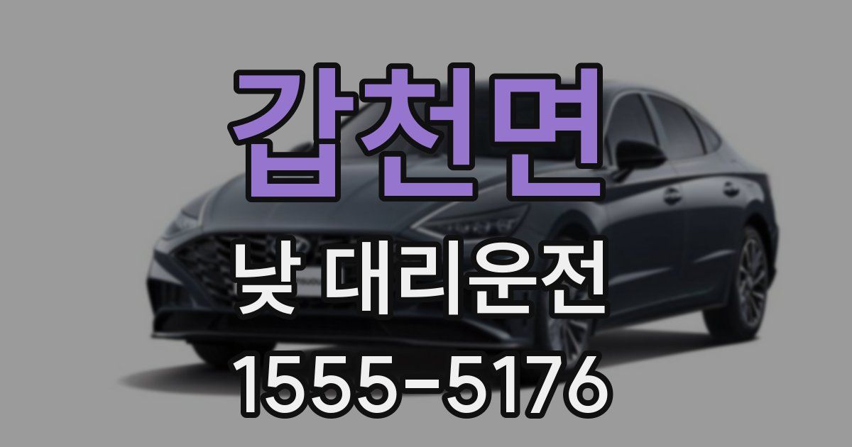 갑천면 낮 대리운전