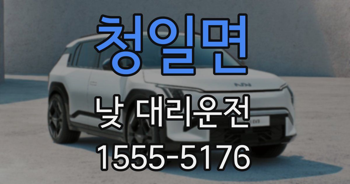청일면 낮 대리운전