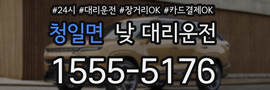 청일면 낮 대리운전