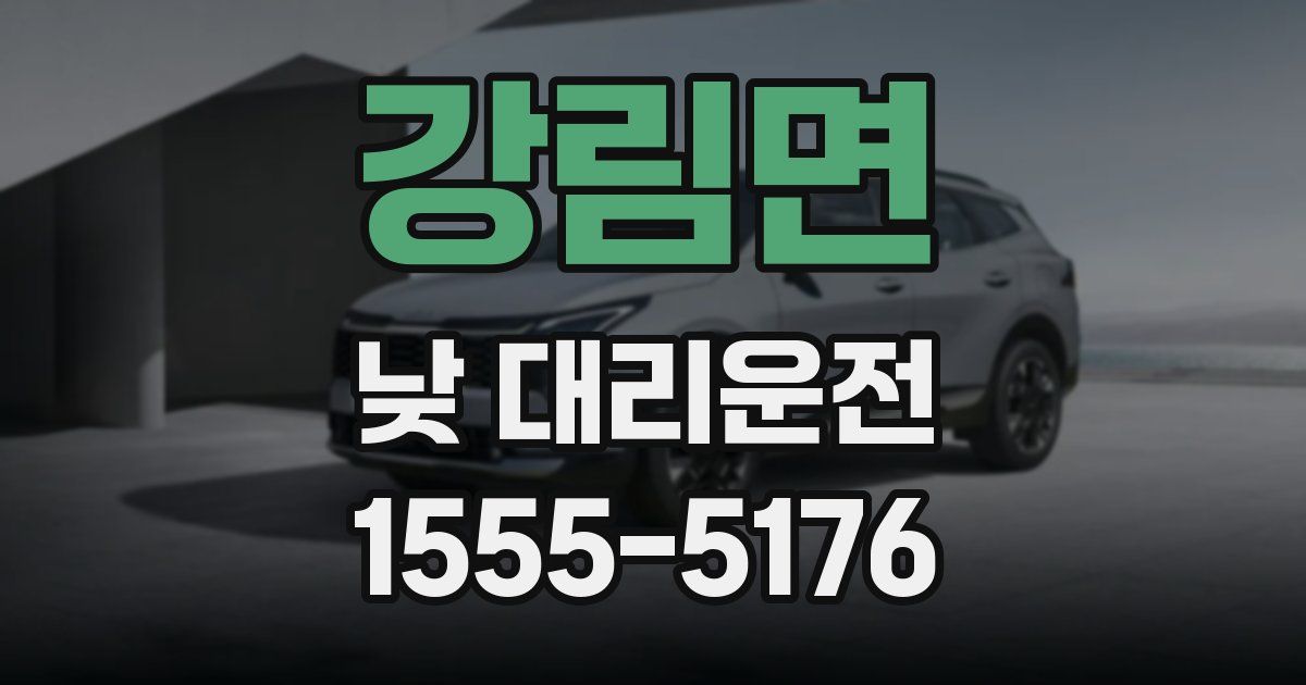 강림면 낮 대리운전